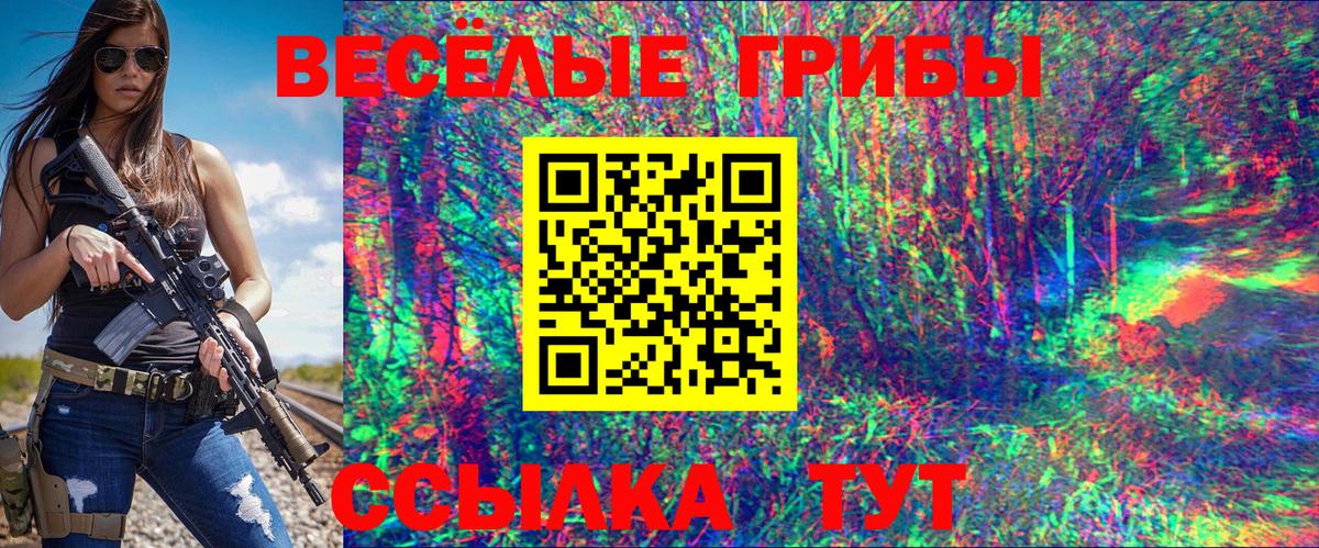 Псилоцибиновые грибы MAGIC MUSHROOMS  Вход с VPN  Кингисепп 